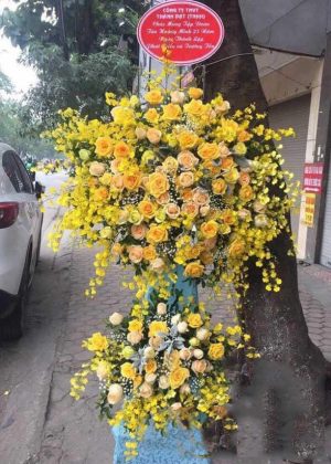 Giao hoa tận nơi tại Thị trấn Thất Khê, Tràng Định, Lạng Sơn